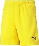 PUMA Sporthose TeamRISE Short Jr