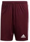 adidas Performance Trainingsshorts adidas Herren Shorts Squadra 21