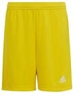 adidas Performance Trainingsshorts adidas Kinder Short Entrada 22 Shorts