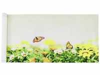 Maximex Balkonsichtschutz 5 m, reißfest, mit Schmetterlings-Motiv