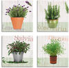 Artland Leinwandbild Lavendel, Rosmarin, Salbei, Thymian, Pflanzen (4 St), 4er...