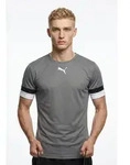 PUMA Fu&szlig;balltrikot TEAMRISE JERSEY Regular Fit, mit Rundhalsausschnitt, mit
