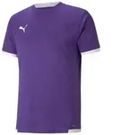 PUMA Fu&szlig;balltrikot Puma Herren Trikots teamLIGA Jersey 704917 lila L (52/54)