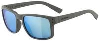 Alpina Sports Sportbrille Kosmic Ceramic Mirror S3