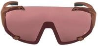 Alpina Sonnenbrille Alpina Sportbrille HAWKEYE Q-LITE A8691