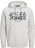 Jack & Jones Kapuzensweatshirt JJJAMES SWEAT HOOD