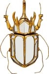 Kare Design Wanddekoobjekt Wandschmuck Beetle Mirror 25x39cm