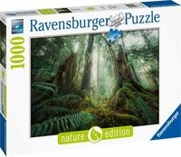 Ravensburger Puzzle 1000 Teile Puzzle Nature Edition Faszinierender Wald 17494,...