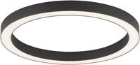 Neuhaus PURE LED Deckenleuchte PURE Lines Round, CCT - &uuml;ber Fernbedienung, LED...