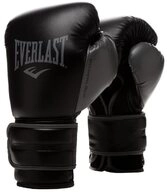Everlast Boxhandschuhe