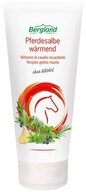 Bergland-Pharma GmbH & Co. KG K&ouml;rpercreme Pferdesalbe - w&auml;rmend 200ml