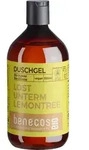 benecos Duschgel Ingwer & Zitrone 500ml