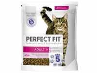 PERFECT FIT Adult 1+ Reich an Lachs 1,4 kg