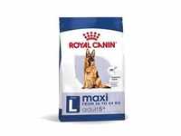 ROYAL CANIN SHN Maxi Adult 5+ 15 kg