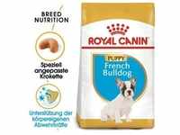ROYAL CANIN Französische Bulldogge Puppy 10 kg