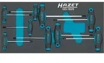 Hazet Werkzeugmodul 163-182/9 9-tlg.Anz.Werkzeuge:9 - 163-182/9