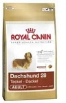 Royal Canin Breed Dachshund | 1,5kg Hundefutter
