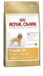 Royal Canin Breed Pudel | 500g Hundefutter trocken