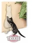 Trixie Kratzbrett Katze 35 &times; 69 cm, beige