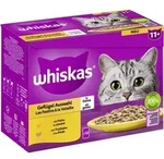 Whiskas Multipack 11+ Gefl&uuml;gel Auswahl in Gelee | 48x 85g