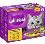 Whiskas Multipack 1+ Gefl&uuml;gel Auswahl in Sauce | 48x 85g