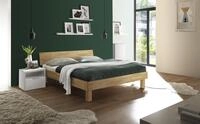 HASENA Forti Trento 16 7228.218371