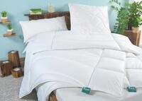 f.a.n. Vierjahreszeiten-Steppbett Klima Active Plus 5249BW10V0004-155220