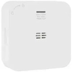 Smartwares FGA-13800 Kohlenmonoxid-Melder mit App-Steuerung batteriebetrieben