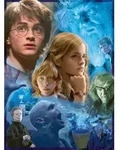 Erwachsenenpuzzle 500 Teile - Harry Potter in Hogwarts