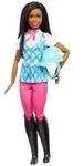 Barbie Mysteries: Das geheimnisvolle Pferdeabenteuer&ldquo; Barbie Brooklyn&ldquo; Puppe mit