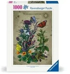 Erwachsenenpuzzle 1000 Teile - Lebenskreis eines Schmetterlings
