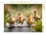 CALVENDO Puzzle Fr&ouml;hliche Entenk&uuml;ken im Wasser 1000 Teile Lege-Gr&ouml;&szlig;e 64 &times;...