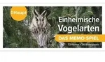 Einheimische Vogelarten &ndash; das Memo-Spiel