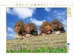 CALVENDO Puzzle Kleine Weltentdecker 1000 Teile Lege-Gr&ouml;&szlig;e 64 &times; 48 cm Foto-Puzzle