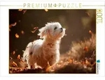 CALVENDO Puzzle Malteser - Tanz der Herbstbl&auml;tter 1000 Teile Lege-Gr&ouml;&szlig;e 64 &times; 48