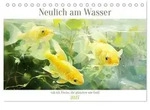 Neulich am Wasser (Tischkalender 2027 DIN A5 quer), CALVENDO Monatskalender