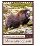 Moschusochsen - Norwegens gem&uuml;tliche Riesen (Tischkalender 2026 DIN A5 hoch),