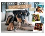Rottweiler - Kraftvolle Gef&auml;hrten mit gro&szlig;em Herzen (Tischkalender 2027 DIN A5