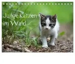 Junge Katzen im Wald (Tischkalender 2027 DIN A5 quer), CALVENDO Monatskalender