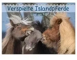 Verspielte Islandpferde Kopf an Kopf (Tischkalender 2027 DIN A5 quer), CALVENDO