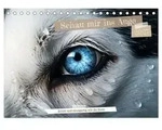 Schau mir ins Auge (Tischkalender 2027 DIN A5 quer), CALVENDO Monatskalender