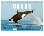 Orcas: Schwarz-wei&szlig;e Giganten (Tischkalender 2027 DIN A5 quer), CALVENDO