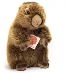 Murmeltier 20 cm