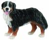 Bullyland 65449 - Berner Sennenhund Bianca, ca. 7,5 cm, Spielfigur, Tierfigur,...