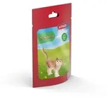 schleich&reg; - 13836 Katze