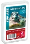 TOP ASS - Meerestiere