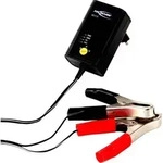 Ansmann ALCS2-12 0.4 1001-0015 Steckerlader 6 V, 2 V, 12V 0.4A
