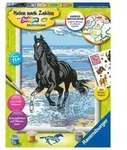 CreArt, Malen nach Zahlen Kinder - Pferd am Strand