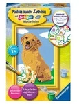 CreArt, Malen nach Zahlen Kinder - Kleiner Golden Retriever