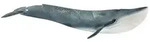 schleich&reg; 14806 Blauwal